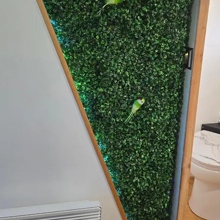 Calaidonia Boat House بوتيل *